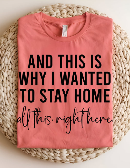 And This Is Why I Wanted To Stay Home Tshirt